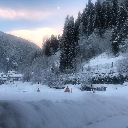 Holidays Dolomiti Apartment Resort Carisolo Exterior foto